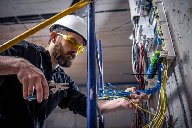 Best Commercial Electrician Services  in Carrollwood, FL