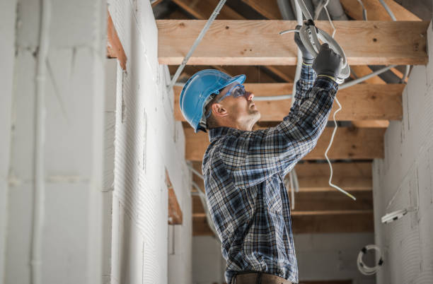 Best Ceiling Fan Installation Electrician  in Carrollwood, FL