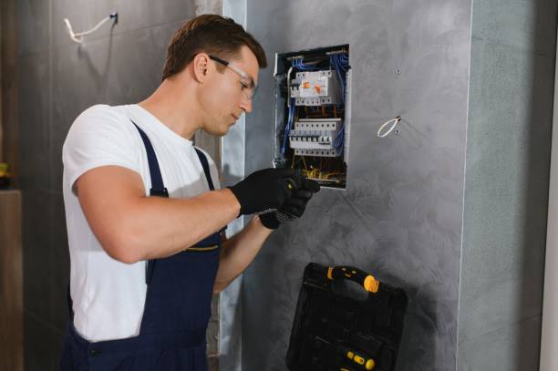 Best Electric Panel Repair  in Carrollwood, FL