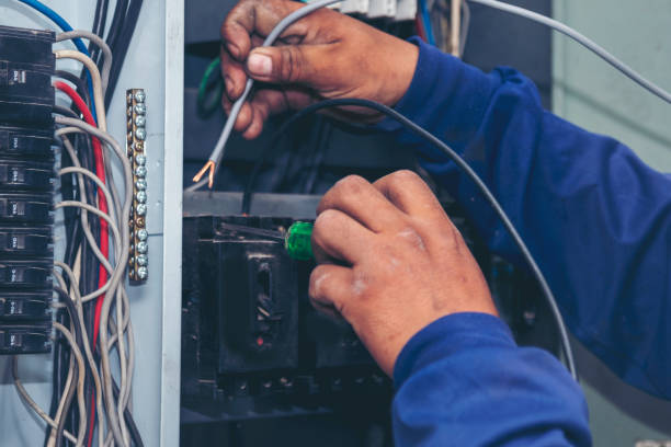 Best Electrical System Inspection  in Carrollwood, FL