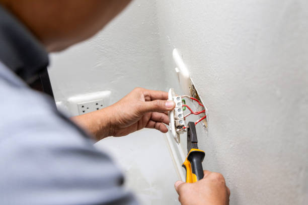 Best Home Electrical Repair  in Carrollwood, FL