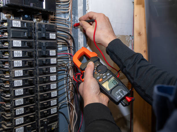 Best Ceiling Fan Installation Electrician  in Carrollwood, FL